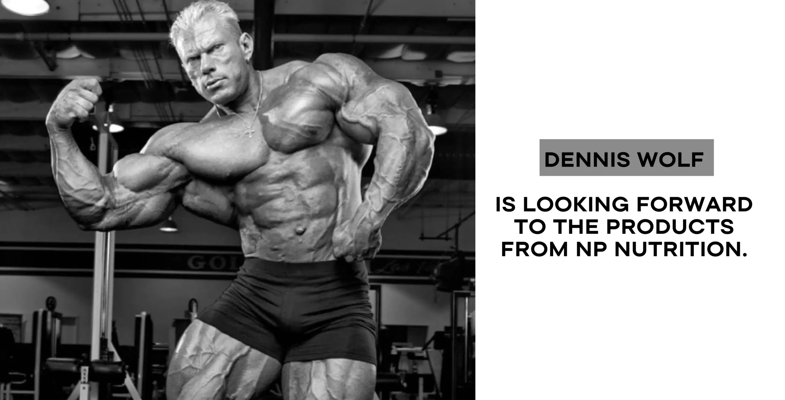 np nutrition - better protein dubai